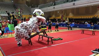 2019 香港 (荃城盃) 醒獅邀請賽 ~ 趙聿修紀念中學 // Tsuen Wan Lion Dance Hong Kong Championship