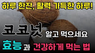 코코넛의 효능과 건강하게 먹는법! | 열대의 보물, 코코넛으로 채우는 건강 에너지