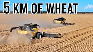 2000 Acres in 5 Days! | Harvest 2024 | Vlog 327