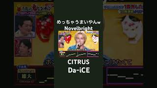 #novelbright #ノーベルブライト #citrus  #daice #千鳥の鬼レンチャン　#鬼連チャン