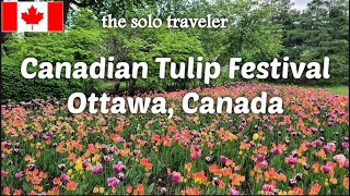 Canadian Tulip Festival - Ottawa - Canada A walking tour in Commissioners park 🇨🇦 🇳🇱