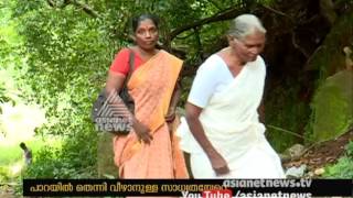 ഇടുക്കി അഞ്ചുരുളിയില്‍ അപകട സാധ്യതയേറുന്നു