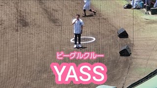 20220626　ﾋﾞｰｸﾞﾙｸﾙｰ YASSさん　試合前の歌唱パフォーマンス｢Try again｣　福岡北九州フェニックス主催試合@北九州市民球場 ﾔﾏｴ久野･九州ｱｼﾞｱﾘｰｸﾞ