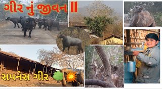 ગીર નેહડા નું જીવન My first vlog || 🌳🌳🌳😍