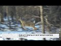 Minneapolis man recovering after accidental shooting during hunting trip