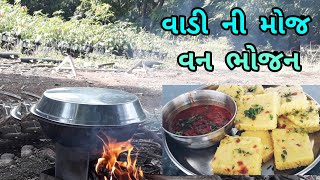 વન ભોજન/વાડી ની મોજ/દાળ ચોખાના પરફેક્ટ માપ સાથે દળી ને બનાવેલા ખાટા ઢોકળા ની રેસીપી