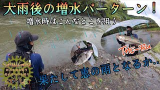 大雨後の増水パターン！果たして恵の雨となるか！？