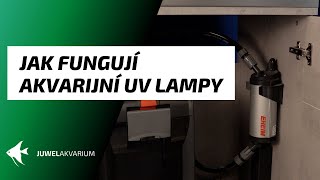 Jak fungují akvarijní UV lampy