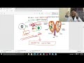 t cell development