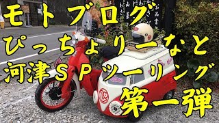 モトブログ #1 奇跡 の コラボ  走れ ぴっちょりーな  旅師の宿やかた Girls Biker つつけん  河津温泉旅館組合ツーリングクラブ モンキー ツーリング