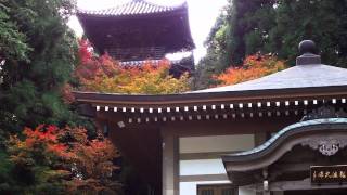 紅葉を訪ねて(西山興隆寺)