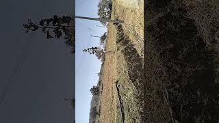 2acre 6gunte Begurge15k, m basavanna phone no7026586397