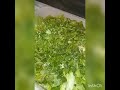 Մառոլով աղցան 🥗Салат.salat marolov