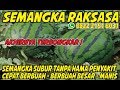 Cara Budidaya Semangka Agar Cepat Berbuah - agar semangka berbuah lebat - semangka berbuah besar