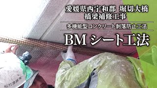 【多機能型コンクリート剥落防止工法】愛媛県堀切大橋~BMシート工法~