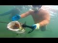 Awesome Grouper Hole in the Keys [Snorkeling]