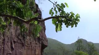 中國河南焦作雲臺山風景區紅石峽沿著山壁開鑿的彎曲步道190423