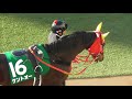 2018 第67回 日刊スポーツ賞中山金杯gⅢ パドック 現地映像 セダブリランテス