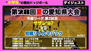 【ドッジボール】第28回夏の愛知県大会 予選第2試合 サザン’97vs知龍リトルマジック