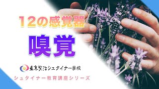 子どもの大きな能力につながる嗅覚について【シュタイナー教育講座】（18）