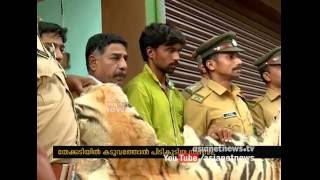 Gang arrested for trafficking tiger skins | FIR 24 Sep 2016