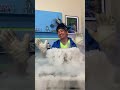 I put Boiling Water into Liquid Nitrogen #shorts