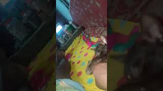 ഒരു പറ്റ് പറ്റി പോയി #funny #ytpets #catvideos #comedy #ytcat #catfunny #cuteyt #cat