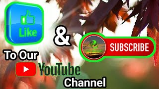 Channel Trailer #2 2023 @LivingAdventuresVa