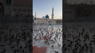 Madina | Masjid nabwi | Saudia arabia|