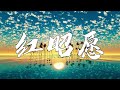 音闕詩聽 紅昭願『一首很電人的古風歌曲，超爽 』【動態歌詞lyrics】 music lyrics lyrics