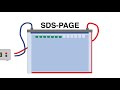 sds page explained protein separation technique