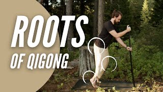 Qigong & Biomechanics to Fix Your Knees, Hips, & Feet