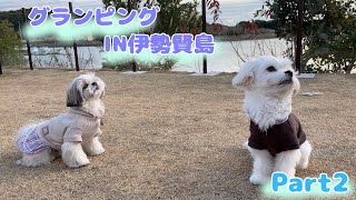 【シーズー】　犬連れ旅行　伊勢賢島　グランドッグ　Part2