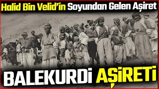 Balekurdi Belekurdi Aşireti Hakkında Bilinmeyenler #kimdir