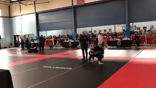 Luis Bjj tournament 3/25/2018