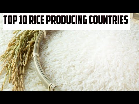 Top 10 World Largest Rice Producing Countries 2020 || Rice Producing ...