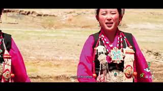 Dhingri song ༼སྟོད་ཀྱི་གངས་ཆེན་གངས་ཆུང་༽