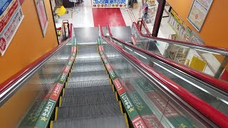 【三菱製】MEGAドン・キホーテ仙台台原店 エスカレーター