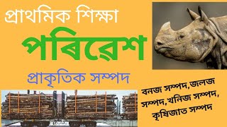 পৰিৱেশ| EVS in Assamese| সম্পদ বুলিলে কি বুজা?প্ৰাকৃতিক সম্পদ| নৱীকৰণক্ষম আৰু অনৱীকৰণক্ষম সম্পদ কি?|