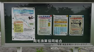 【桐生市　渡良瀬川キャッチ＆リリース区域ルアー釣行〜わたらせ渓谷鐵道】群馬/両毛漁協