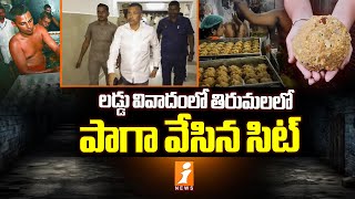 తిరుమలలో పాగా వేసిన సిట్ | Sit Investigation On Tirumala Laddu | Tirupati Laddu | iNews