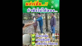 จบปัญหา น้ำยางไม่ออก หรือออกน้อย ใช้มาเยอะแต่ก็ไม่เห็นผล...