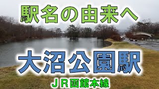 【大沼公園(JR函館本線)】大雨の大沼国定公園で駒ヶ岳を眺める？？【由来紀行202北海道】