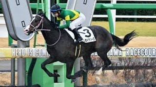 3歳未勝利　ダ1800m (右)　ラムゼイテソーロ　牡3　56.0　原優介　2024.1.21　　出走馬：ランドマックス、プラチナバンド、ミーハ、レオボヌール、ダンシングボビー、ウインラムセス他