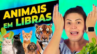 30 SINAIS DE ANIMAIS EM LIBRAS: Cachorro, Gato, Pássaro, Cobra, Elefante, Galinha...