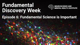 Fundamental Discovery Week Recap