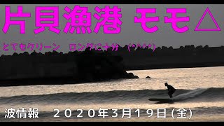 波情報　千葉北　片貝漁港　３月１９日　ロングには十分(^^)/