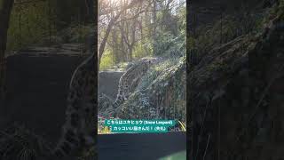 ニューヨーク中心部の動物園が突っ込みどころ満載だった　#ニューヨーク生活