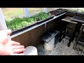 10 tips for setting up your greenhouse u0026 nursery area for growing garden vegetables herbs u0026 flowers