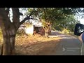 তামিলনাড়ুর গ্রাম village in tamilnadu india ভারত adison